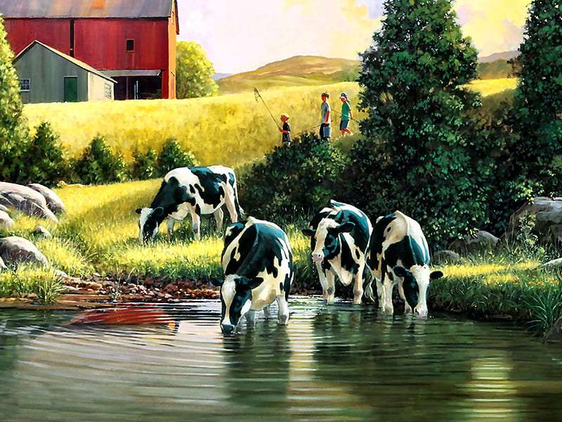 Коровы голштинской породы - Коровы голштинской породы у источника пазл онлайн