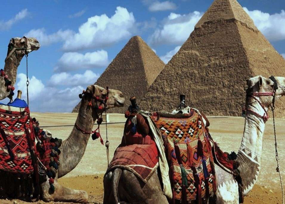 Египетские пирамиды и верблюды онлайн-пазл