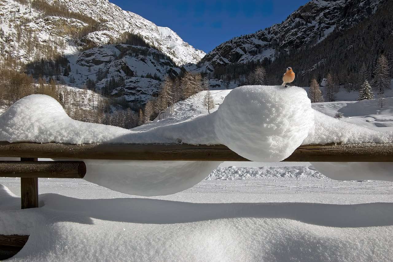 Inverno delle Alpi di montagna puzzle online