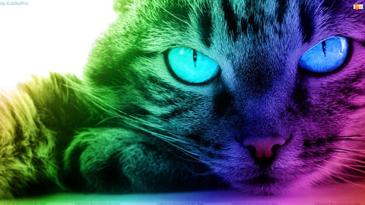 gato arcoiris rompecabezas en línea