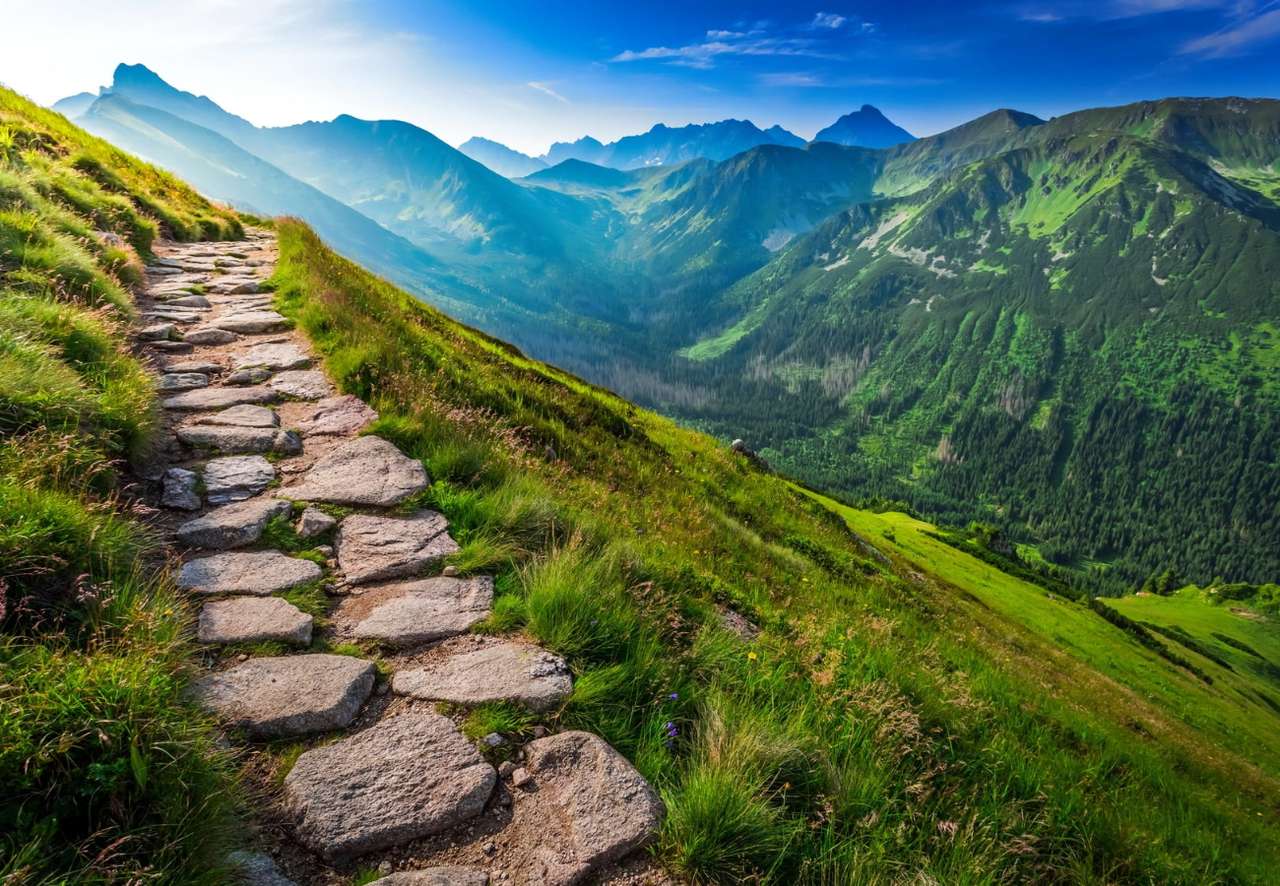 Mountain slope in the spring time at dawn jigsaw puzzle online