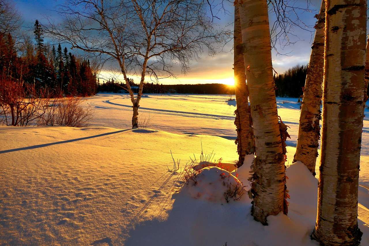 Nature Winter jigsaw puzzle online