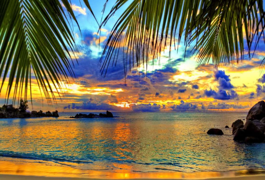 Пляжный отдых с прекрасным ночным небом пазл онлайн
