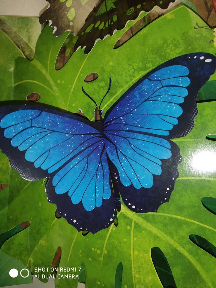 Schmetterling Puzzlespiel online