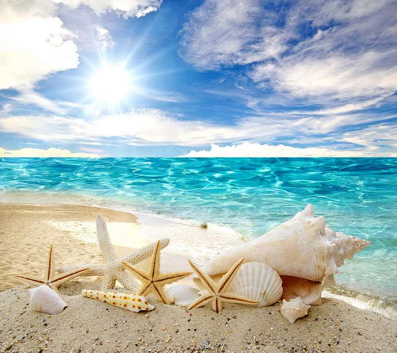 Прекрасний пляж і скарби океану - мушлі, морські зірки пазл онлайн