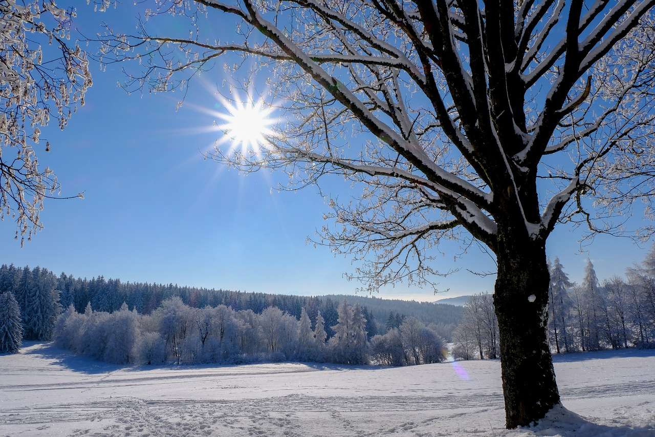 Χειμερινός ήλιος χιόνι παζλ online