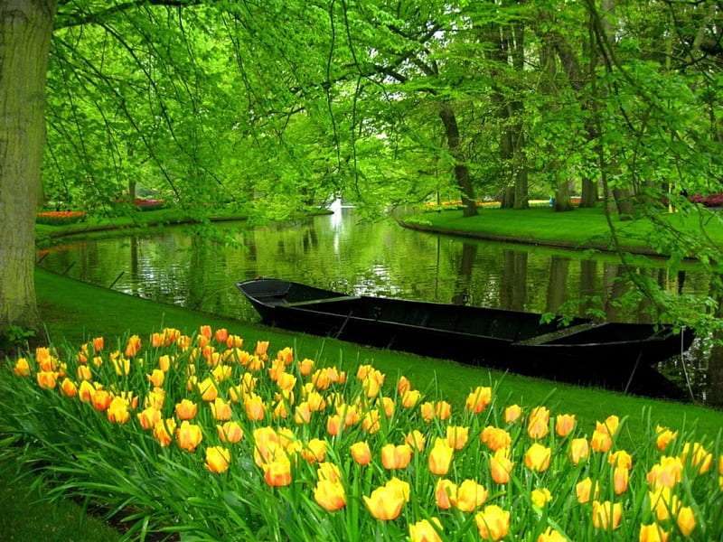 Zelené ráno v krásném parku, barevné tulipány skládačky online