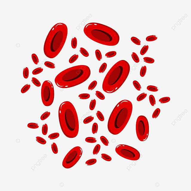 rote Blutkörperchen Online-Puzzle