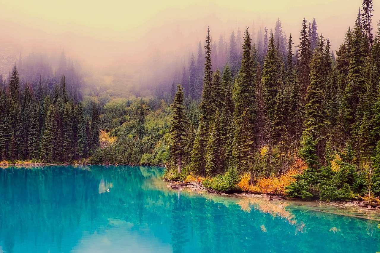Канадські озерні ліси онлайн пазл