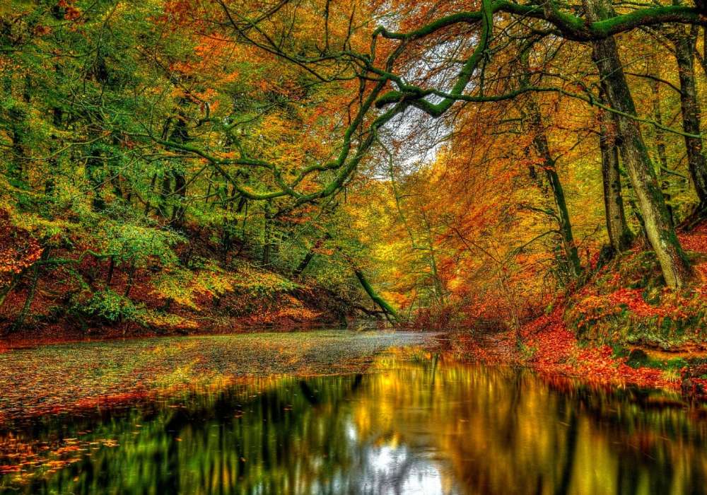 Höstens rasande färger vid floden, en underbar utsikt Pussel online