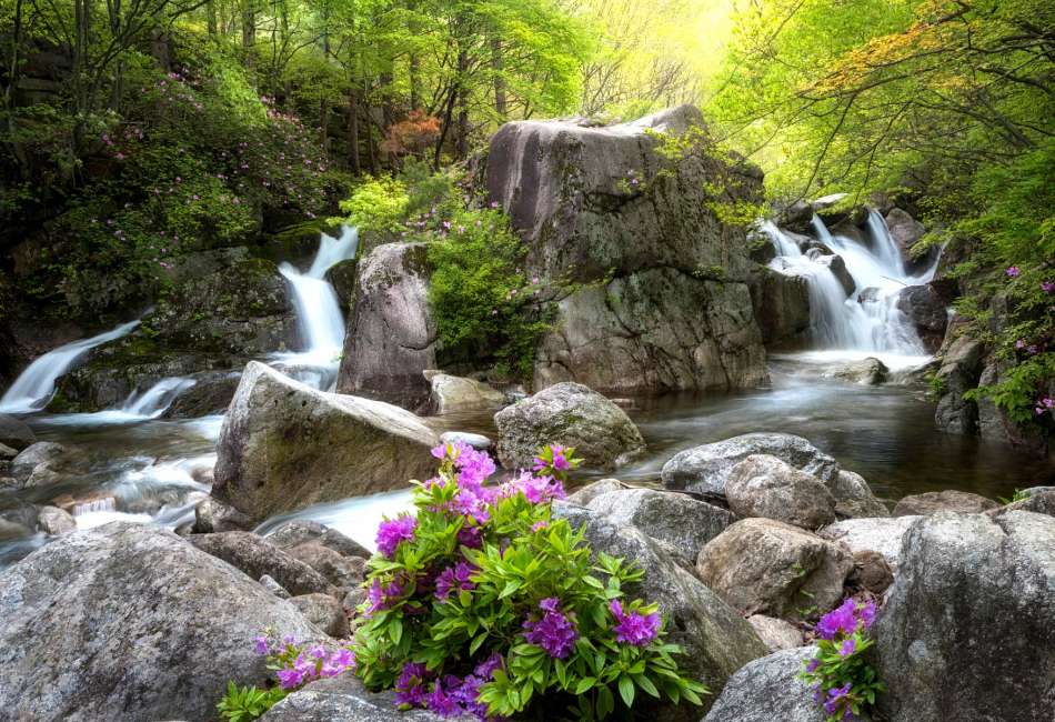 Spring flowers on the rocks of the waterfall jigsaw puzzle online