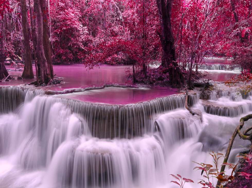 Фантастический образ осени в водном лесу онлайн-пазл
