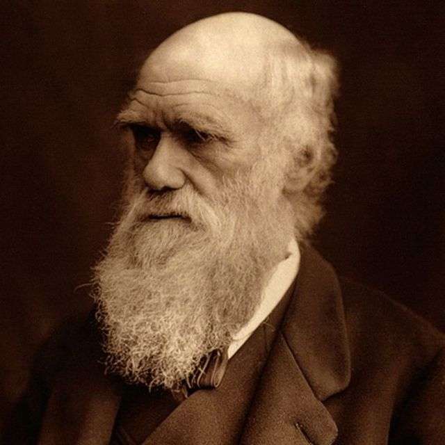 Charles Darwin rompecabezas en línea