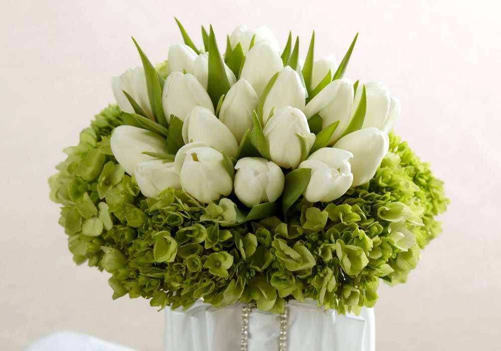 Tulipanes blancos envueltos en hortensia verde, un milagro rompecabezas en línea