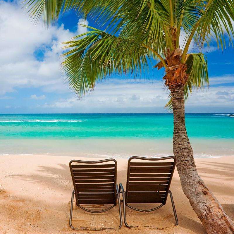 Піщаний пляж у тропіках пазл онлайн