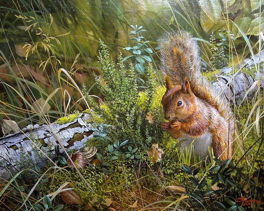 Ízletes mogyoró :) gyönyörű mókus kirakós online