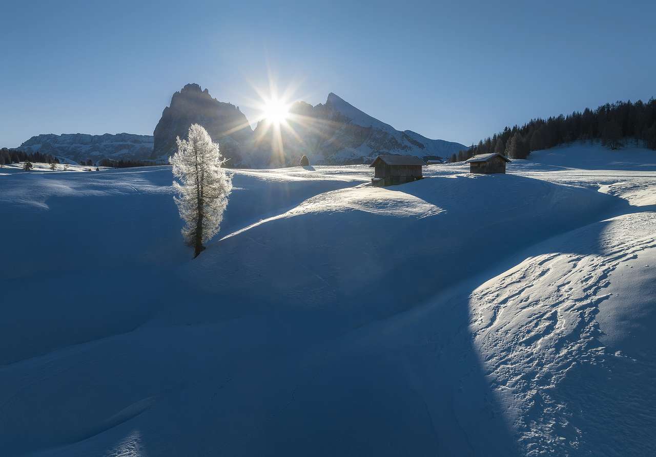 invierno con nieve blanca rompecabezas en línea