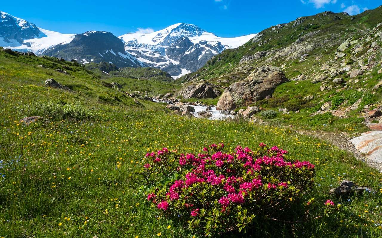 Fleurs alpines Almrose puzzle en ligne
