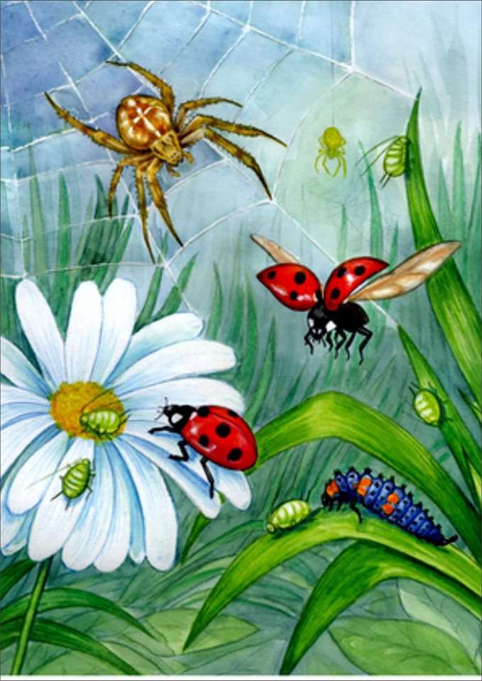 The world of insects online puzzle