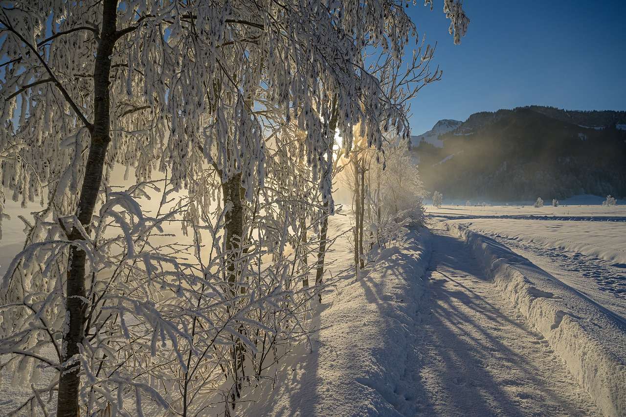 Winter Landschap legpuzzel online