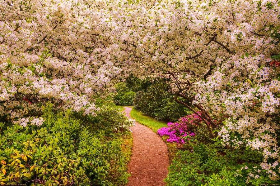 I would like to walk this path :) jigsaw puzzle online