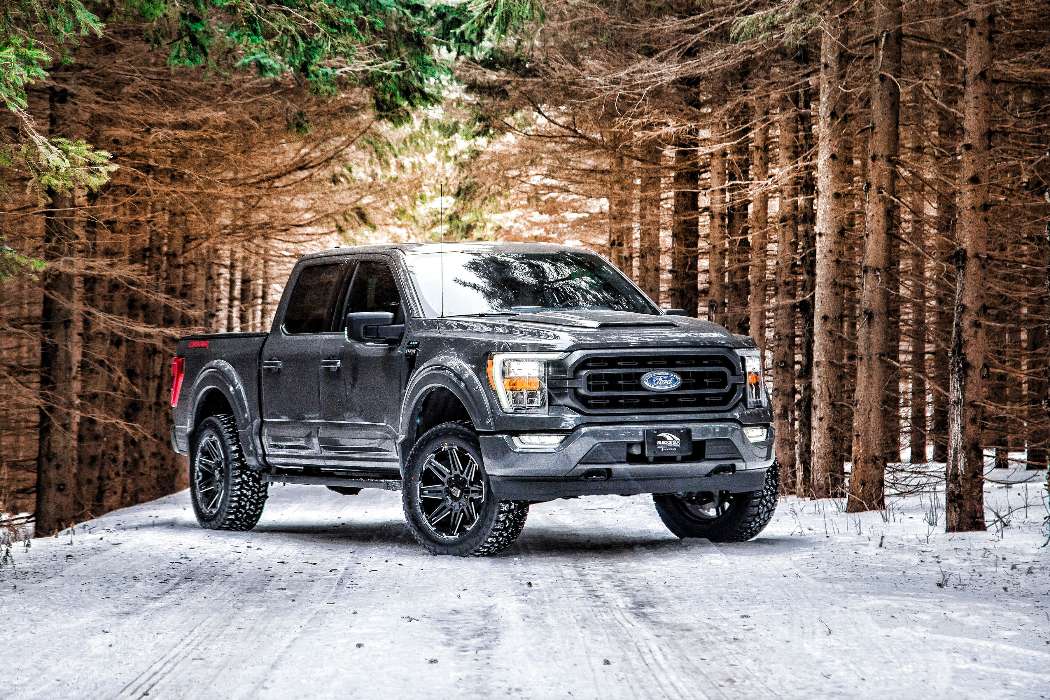 Ford F-150 offroad 2021 online puzzel