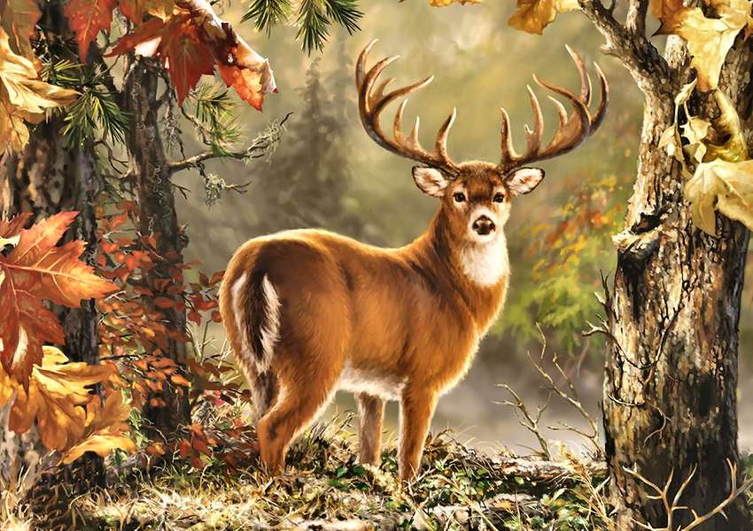 Whitetail Deer Buck-Deer und seine schönen Geweihe Online-Puzzle