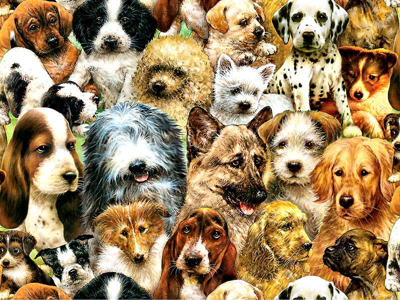 Dog Collage - kollázs kutyák kirakós online