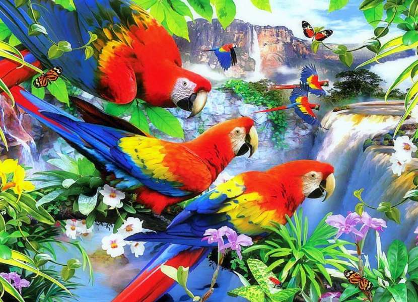 Tropische Vögel in einem tropischen Wald Puzzlespiel online