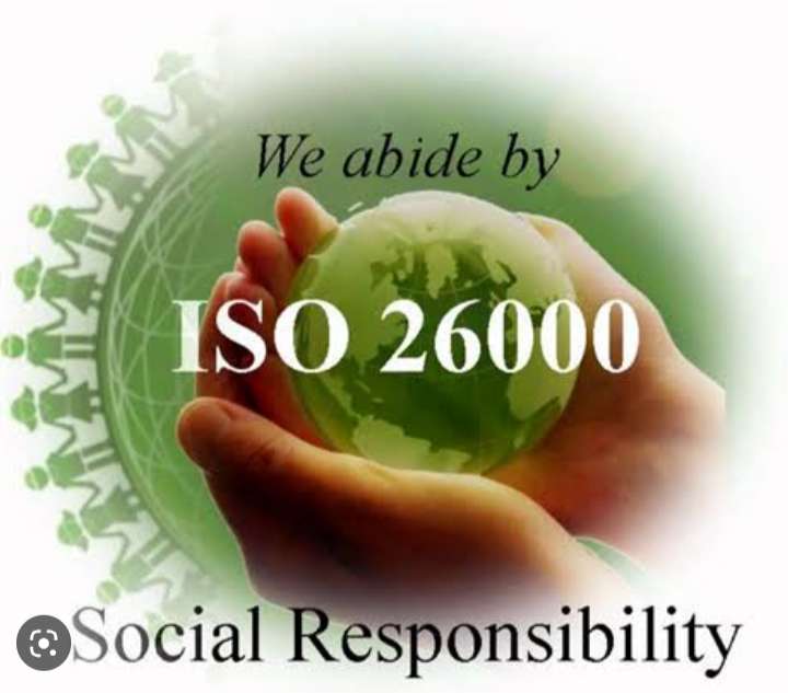 ISO 20600 online puzzle