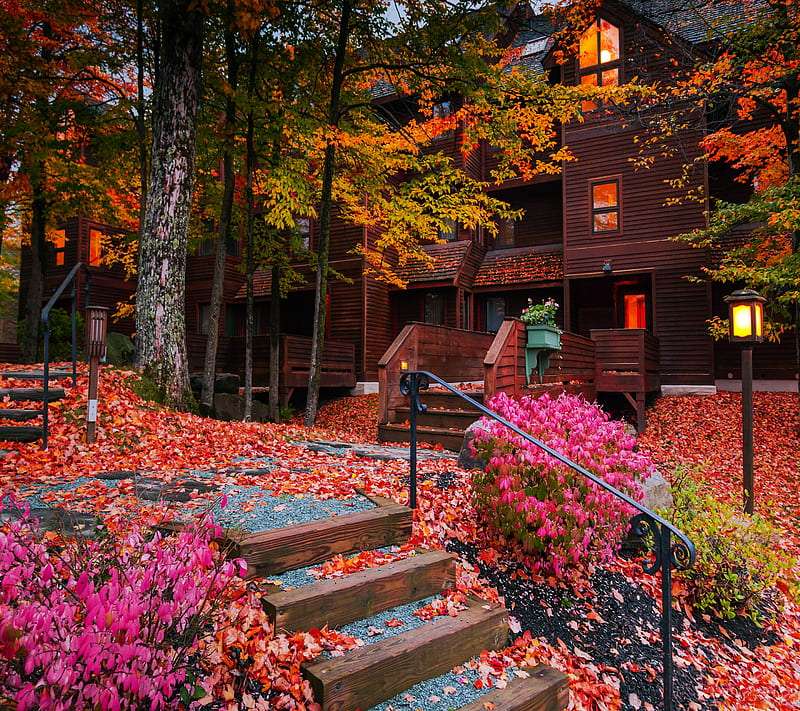 Roodgouden herfst - Het herfstseizoen is prachtig online puzzel