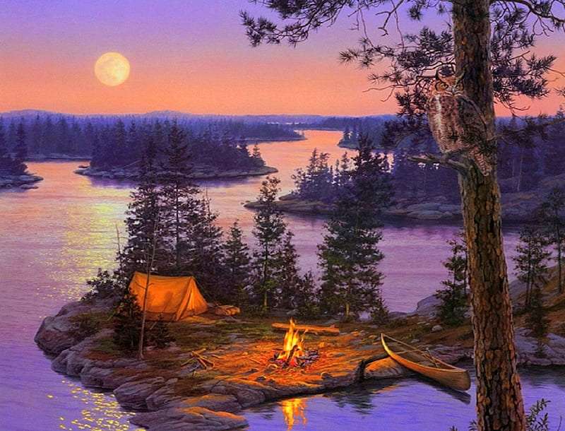 Camping på en liten ö och fullmåne pussel på nätet