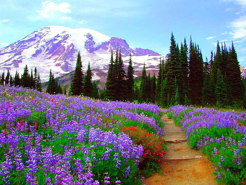 Wildflower Path-Path bland vilda blommor pussel på nätet