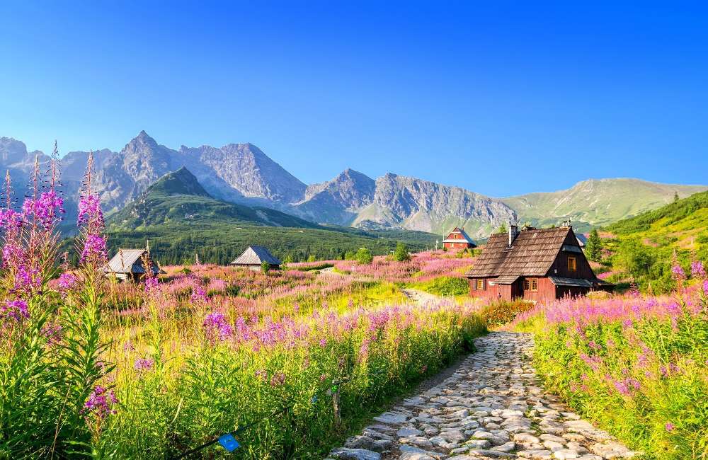 Căsuțe montane, flori, dealuri verzi puzzle online