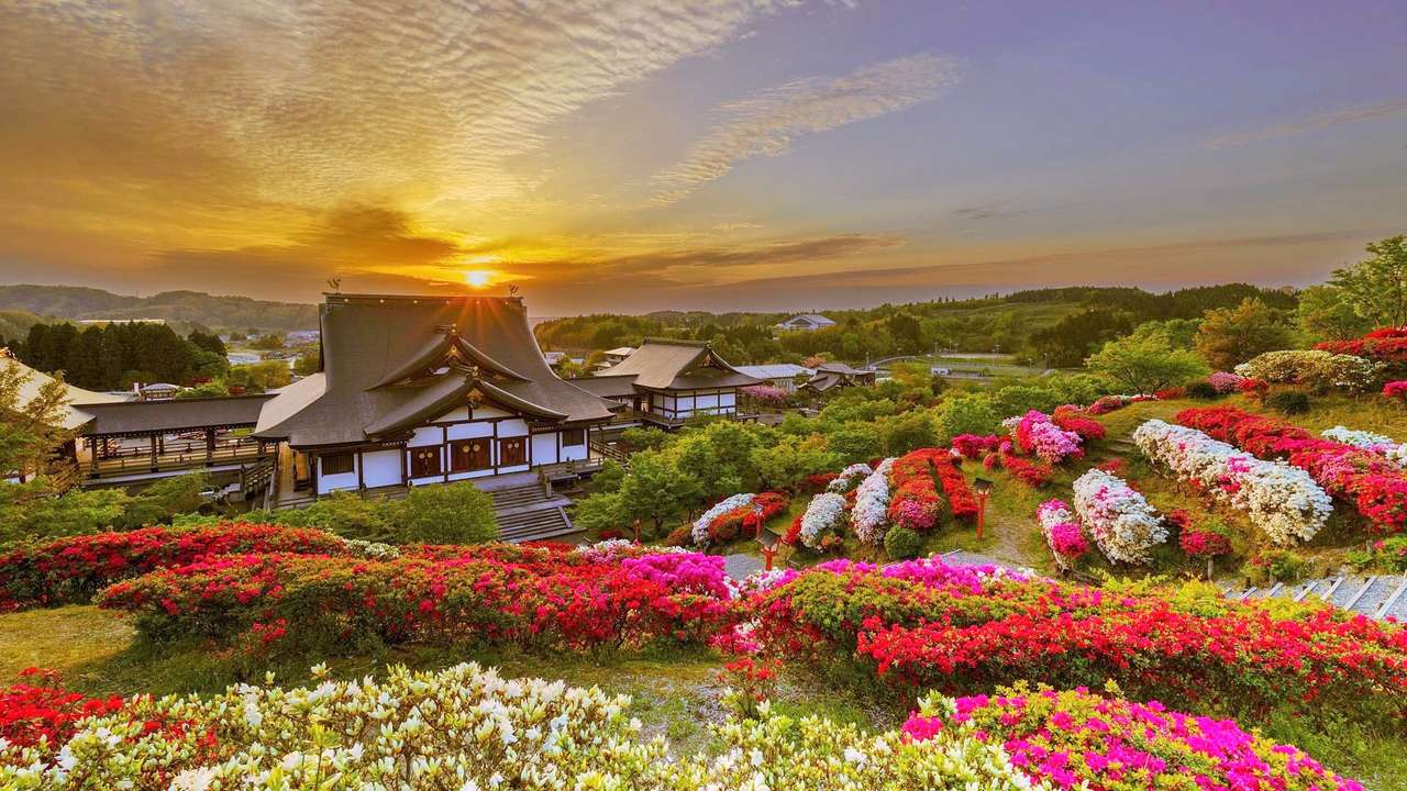 japon florido rompecabezas en línea