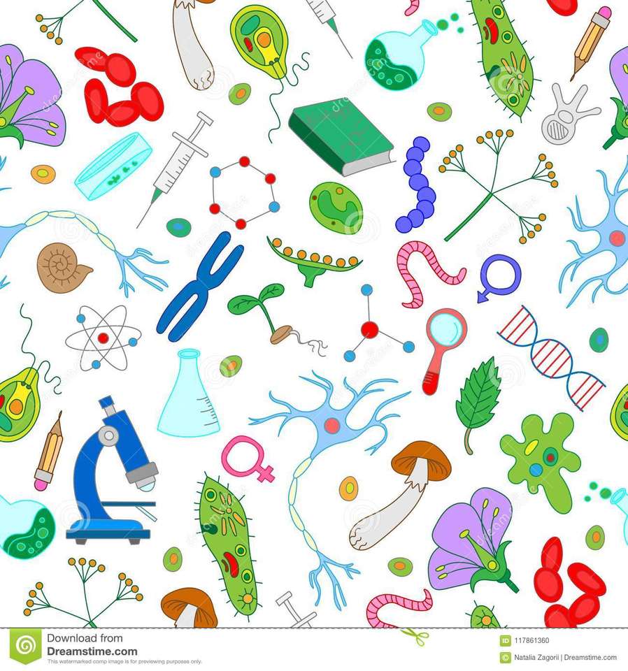 ABC Biologie Puzzlespiel online