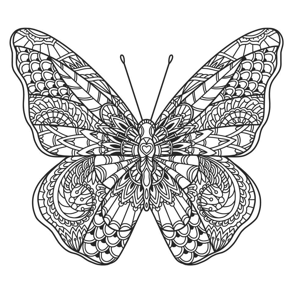 Butterfly    . online puzzle