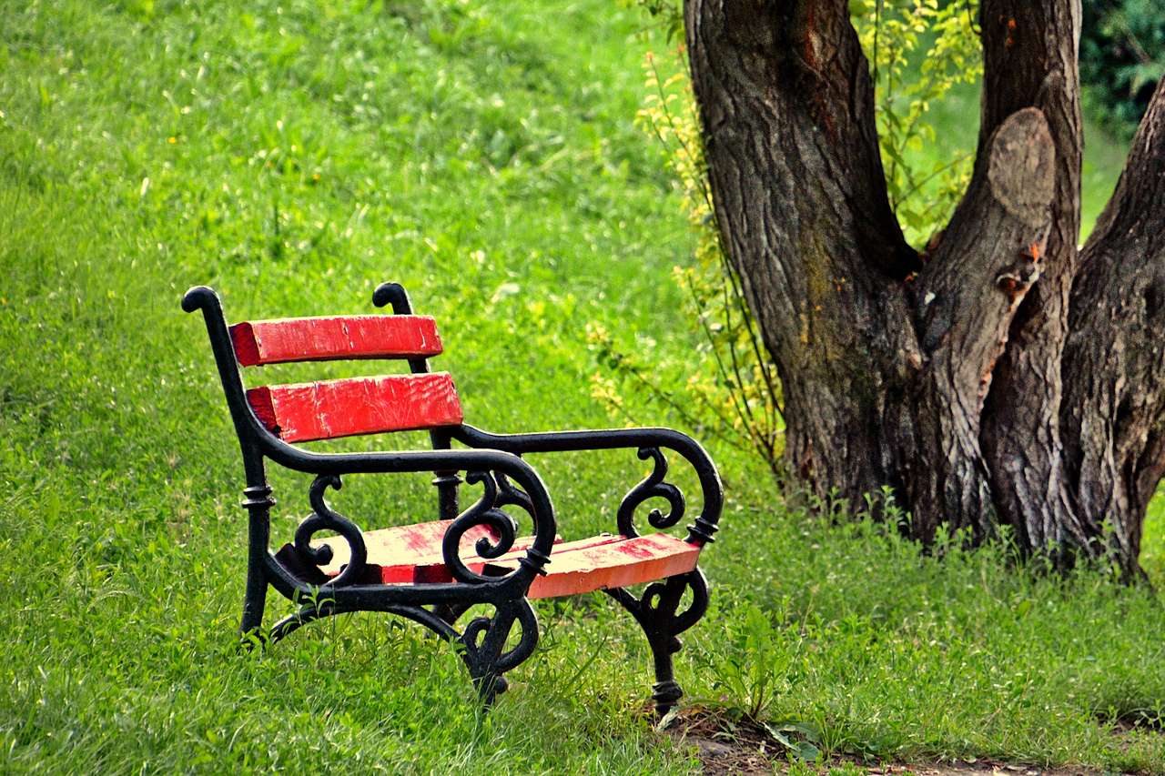 A bench by the tree online puzzle