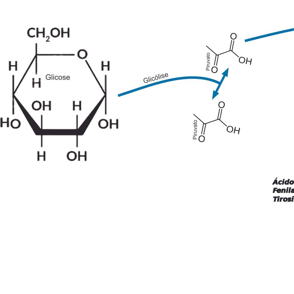 Glicolise quebra-cabeças online