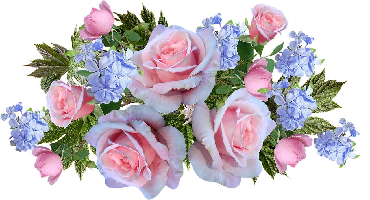 Τριαντάφυλλα Λουλούδια online παζλ