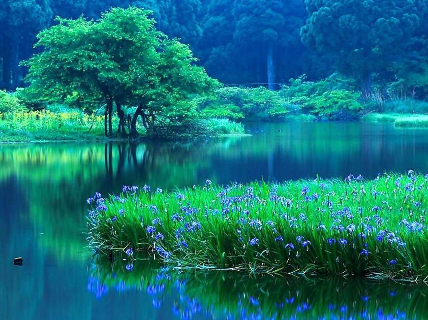 Green-blue nature jigsaw puzzle online