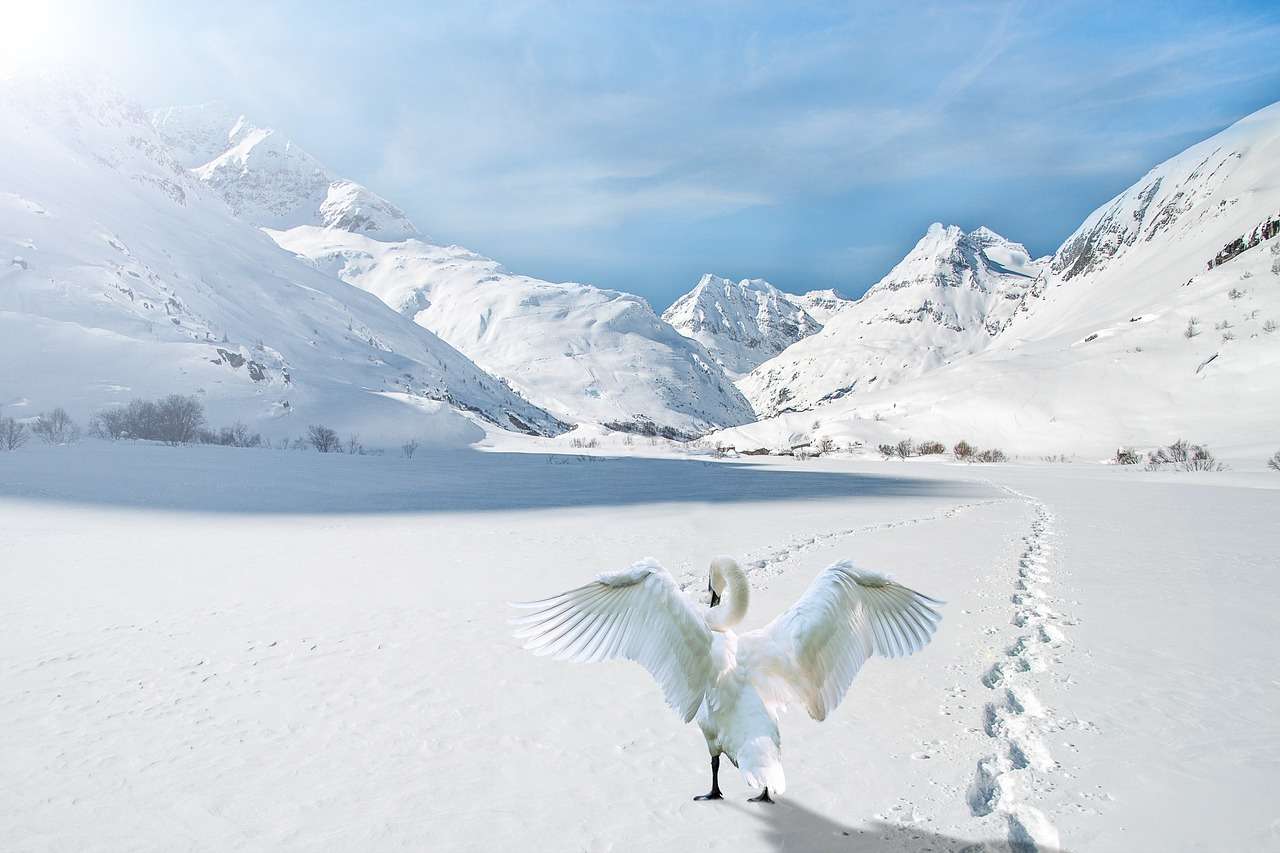 Mountains Snow Swan jigsaw puzzle online
