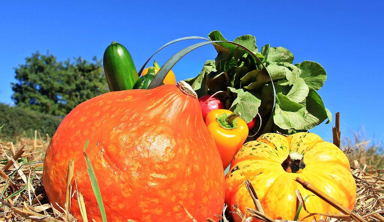 Pumpkins Cucumbers Peppers jigsaw puzzle online