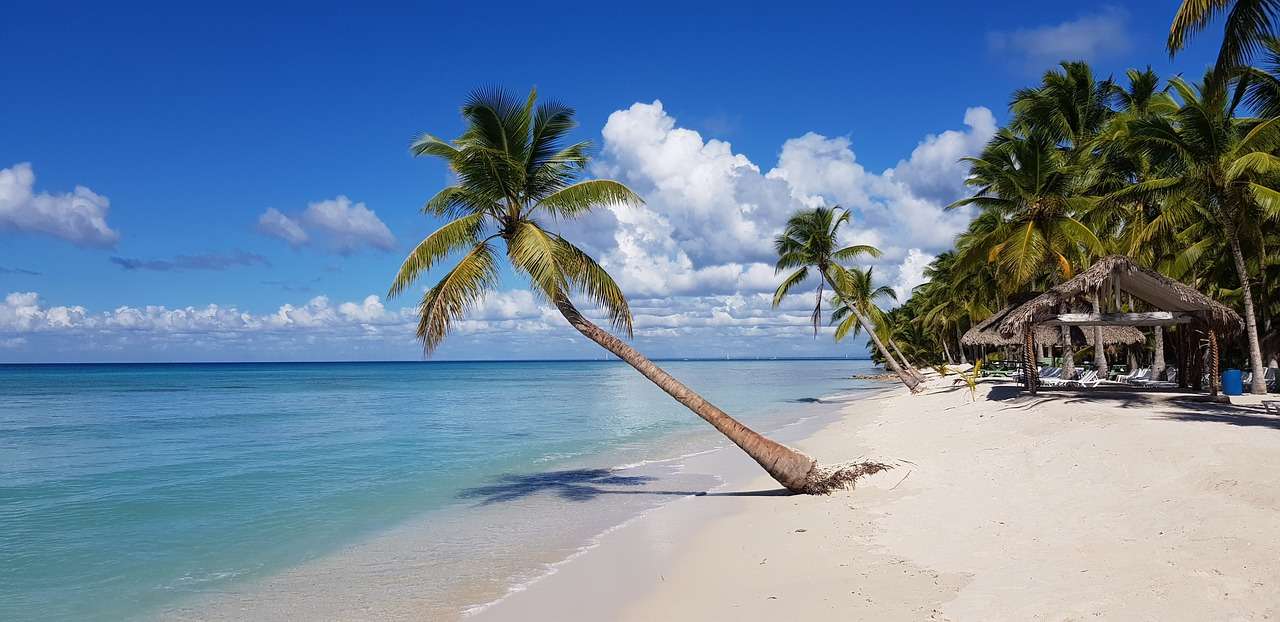 Beach Palm Trees Horizon онлайн пъзел