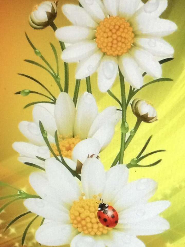 Daisies with a ladybug online puzzle