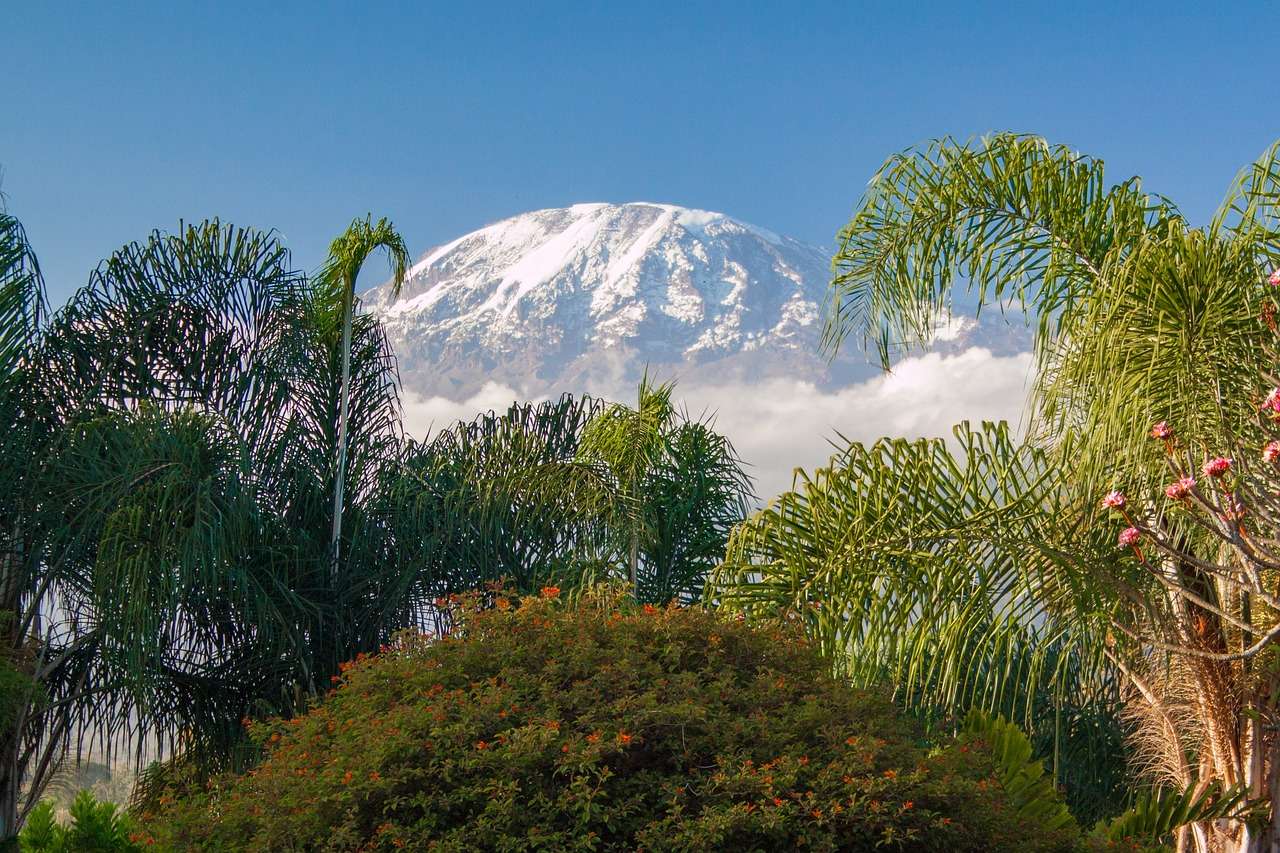 Kilimandzsáró Tanzánia online puzzle