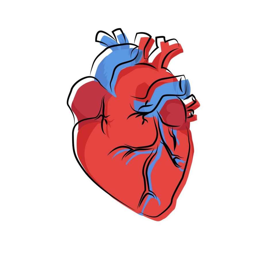серце людське тіло пазл онлайн