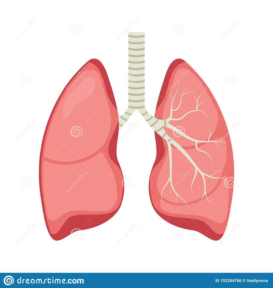 肺 ジグソーパズルオンライン