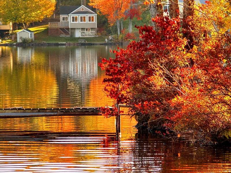 Εξοχικό σπίτι δίπλα στη λίμνη, όμορφο μέρος online παζλ