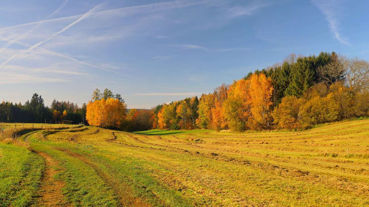 Есенна поляна онлайн пъзел